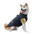 DogSki Sport