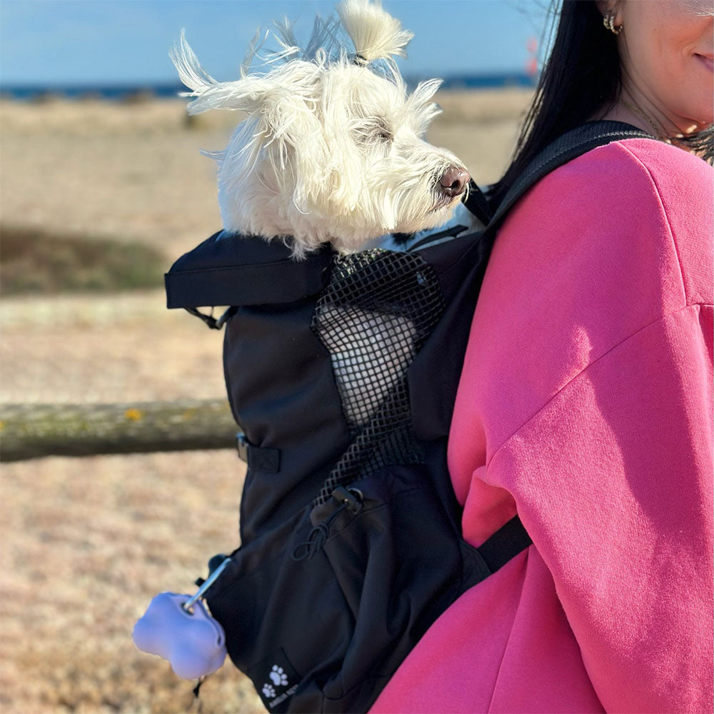 Piggyback-Pack