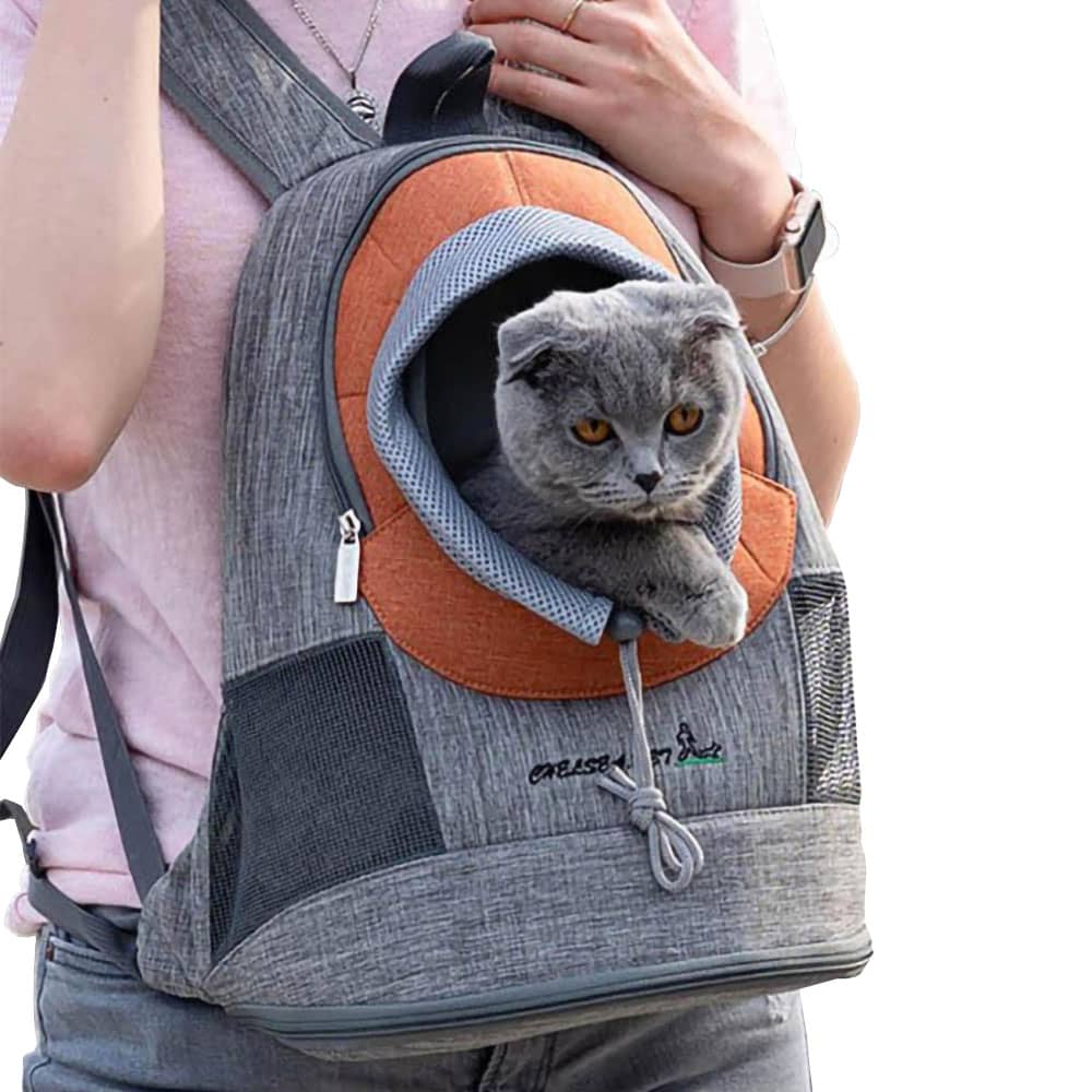 Grey cat peaking out of the mini pet backpack with the adjustable opening, orange variant worn in the front of the model
