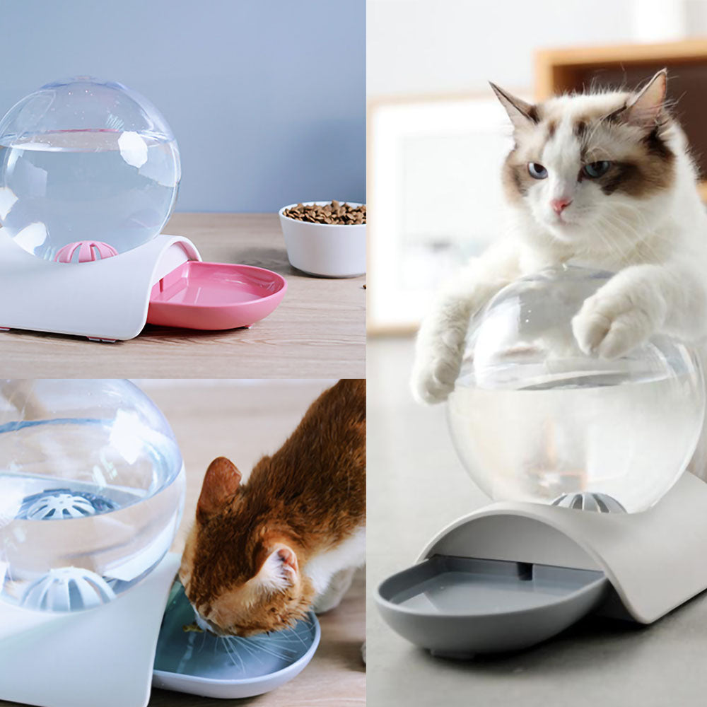 Pink Pawbasin At Home™ - Pet Water Dispenser on a vivid background; Brown cat drinking water out of a blue Pawbasin At Home™ - Pet Water Dispenser on a vivid background; white gray cat grabbing onto a gray Pawbasin At Home™ - Pet Water Dispenser on a vivid background.