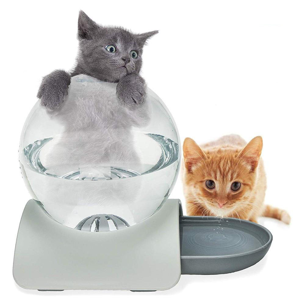 Small gray cat grabbing onto a gray Pawbasin At Home™ - Pet Water Dispenser while a small brown cat drinks water from it on a white background.