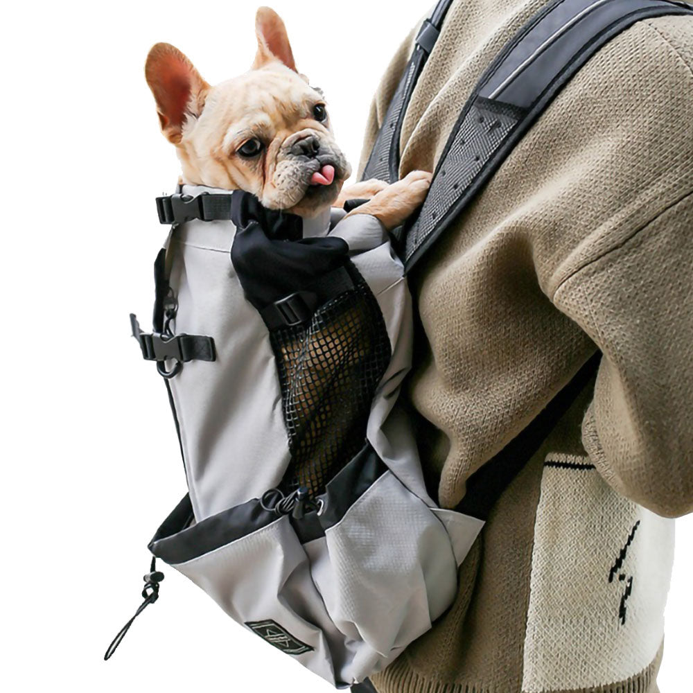 Small yellow dog sitting in a gray Piggyback-Pack™ - Pet Backpack Carrier being carried on the back of a human in gray sweater on a white background. 