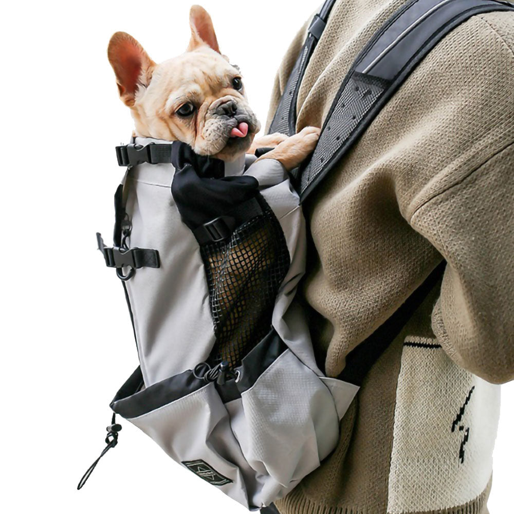 Small yellow dog sitting in a gray Piggyback-Pack™ - Pet Backpack Carrier being carried on the back of a human in gray sweater on a white background.