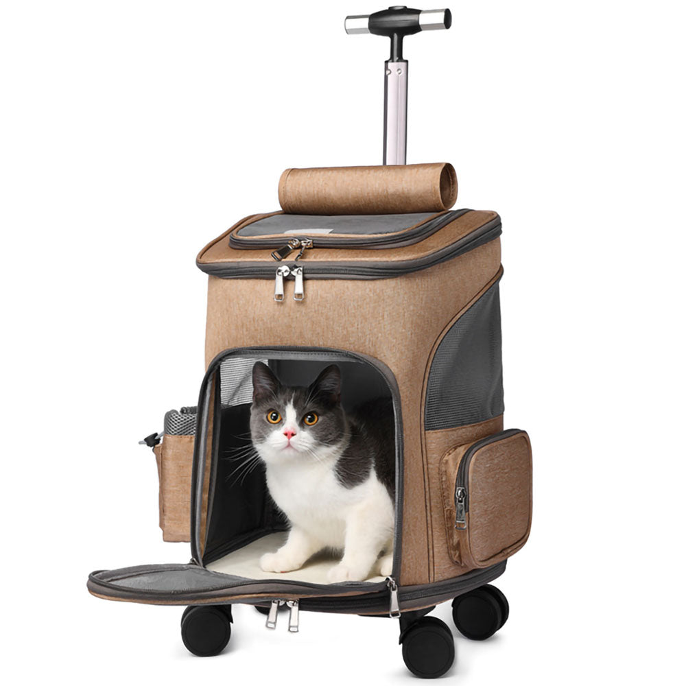 White and gray cat peaking out of the front mesh zipped open opening of a khaki Lithe Pet Carrier Backpack - Wheeled Airline-Approved with handle, wheels and side pockets on a white background 