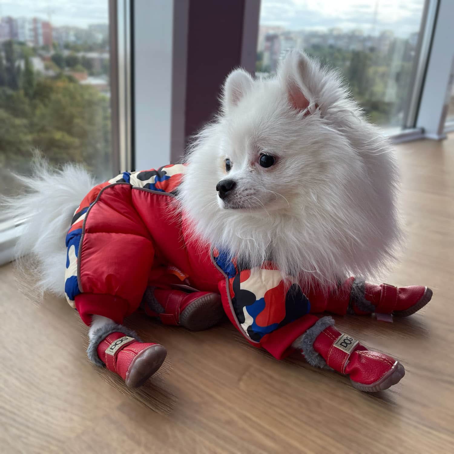 Small white dog in a red   DogSki Suit™ - Waterproof Winter Jacket Harness for Small to Medium Dogs sitting on a floor