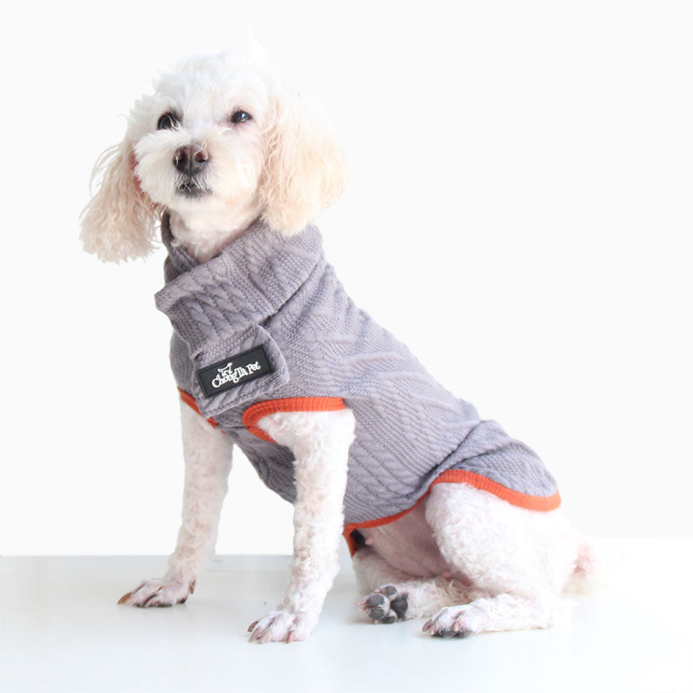 Medium sized white puddle dog wearing a gray Small adorable corgi dog waring an orange Jollypaw™ - Dog Sweater & Scarf making him look like the most stylish dog ever on white background.