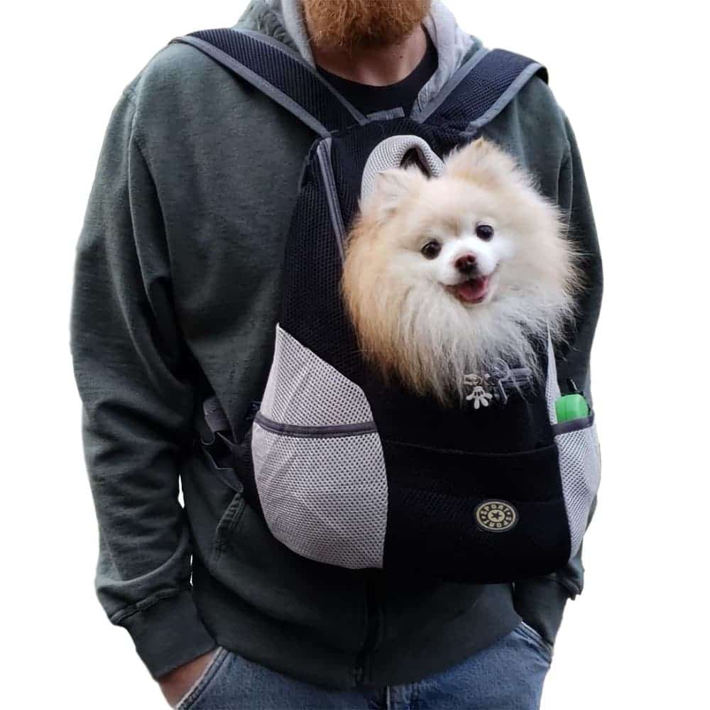 Fur Sport Dog Backpack Carrier Pink / Large Dogs (21-30 lbs)