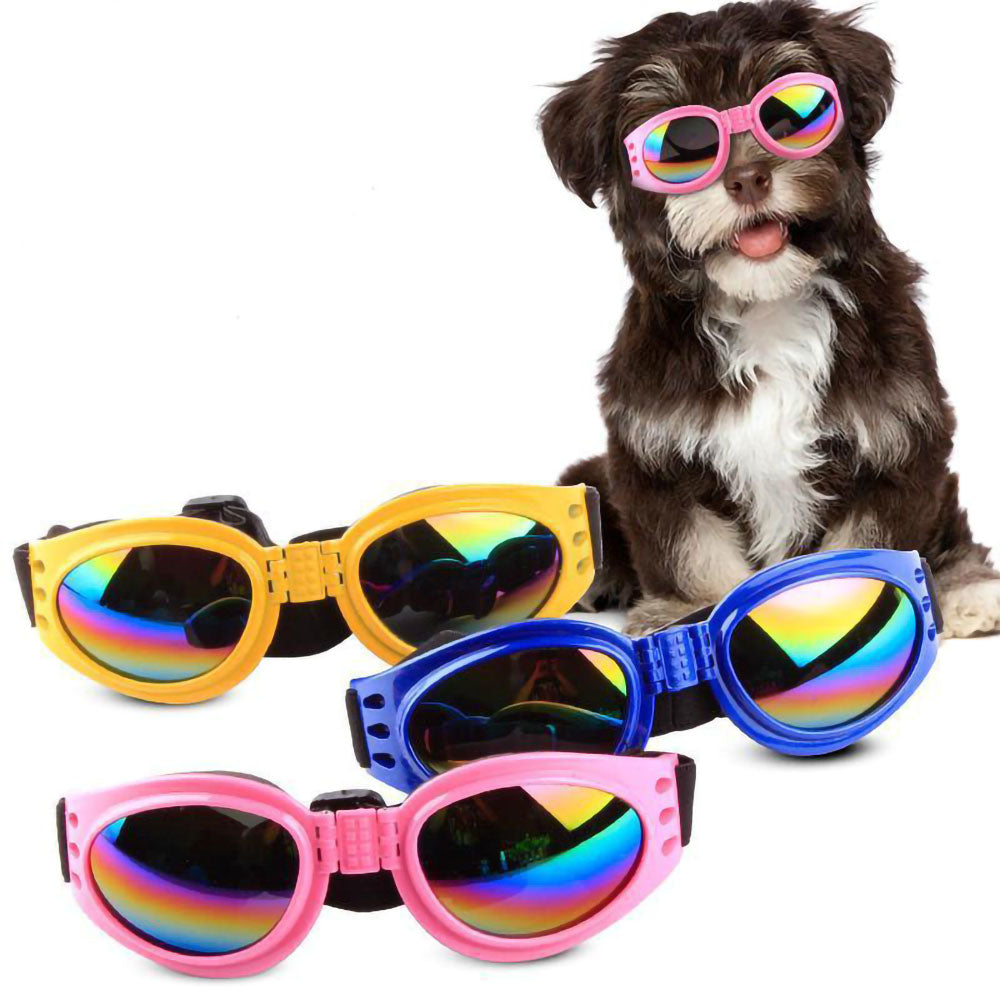 Dog wearing pink DePaw Goggles for dogs with yellow, blue and pink DePaw Goggles in front on a white background.