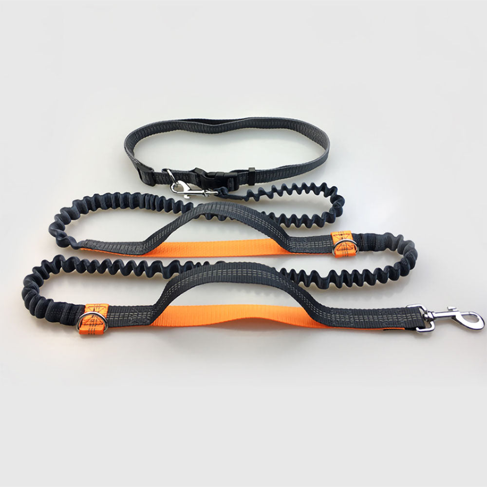 Orange Flex™ - Hands-Free Dog Leash double stretch and collar attached on a white background. 
