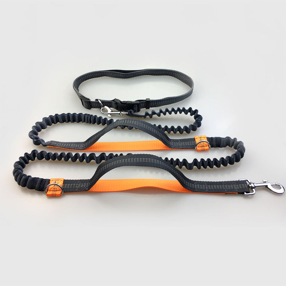 Orange Flex™ - Hands-Free Dog Leash double stretch and collar attached on a white background.