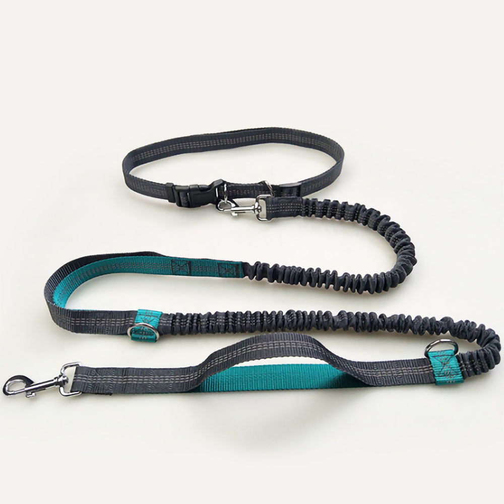 Teal Flex™ - Hands-Free Dog Leash double stretch and collar attached on a white background.