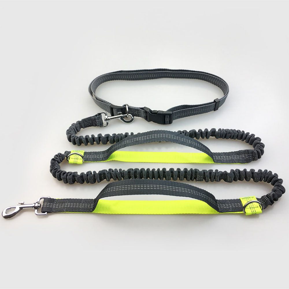 Yellow Flex™ - Hands-Free Dog Leash double stretch and collar attached on a white background. 