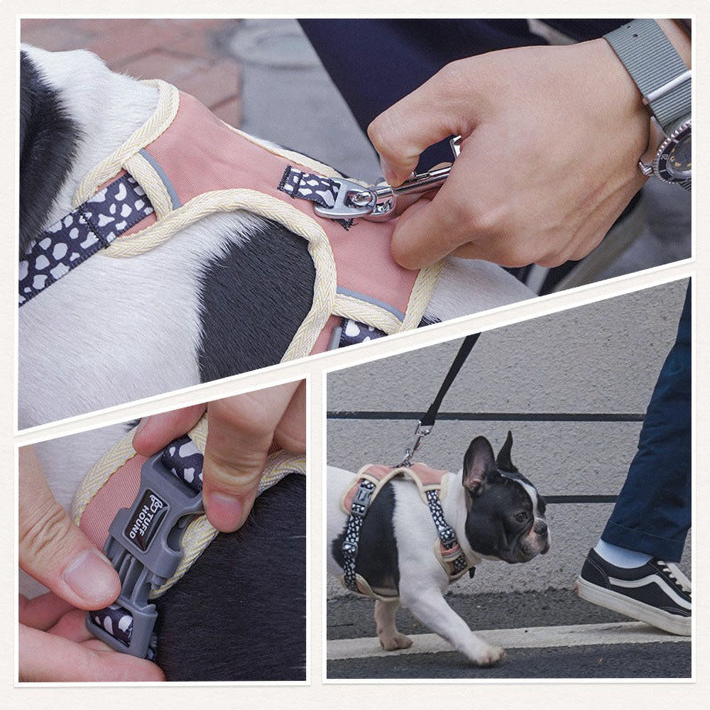 Close-ups of pink TuffHound Vital™ - Dog Harness & Leash Set on D-ring with leash being attached on a dog, side adjustable buckle and a black and white dog walking on a leach of a pink TuffHound Vital™ - Dog Harness & Leash Set on vivid backgrounds.
