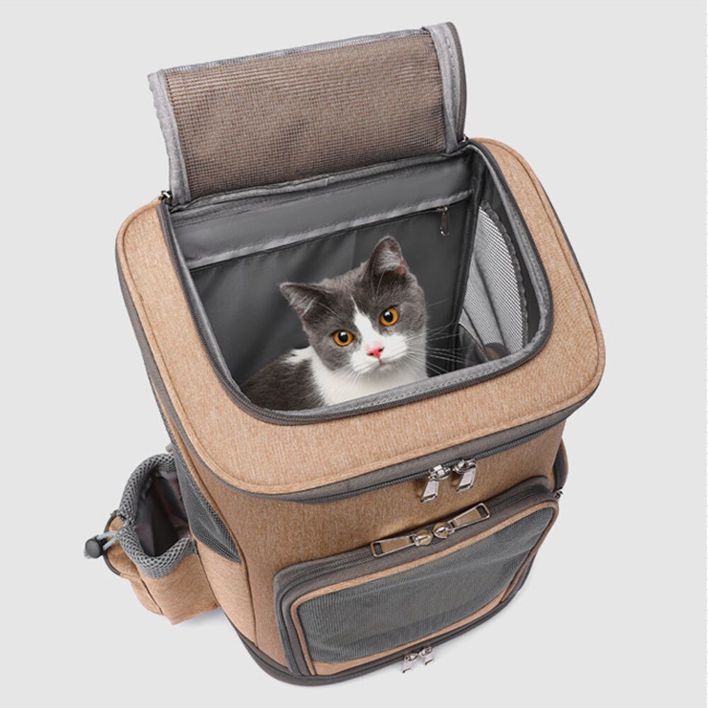 White and gray cat peaking out of the top mesh zipped open opening of a khaki Lithe Pet Carrier Backpack - Wheeled Airline-Approved with handle, wheeles and side pockets on a white background