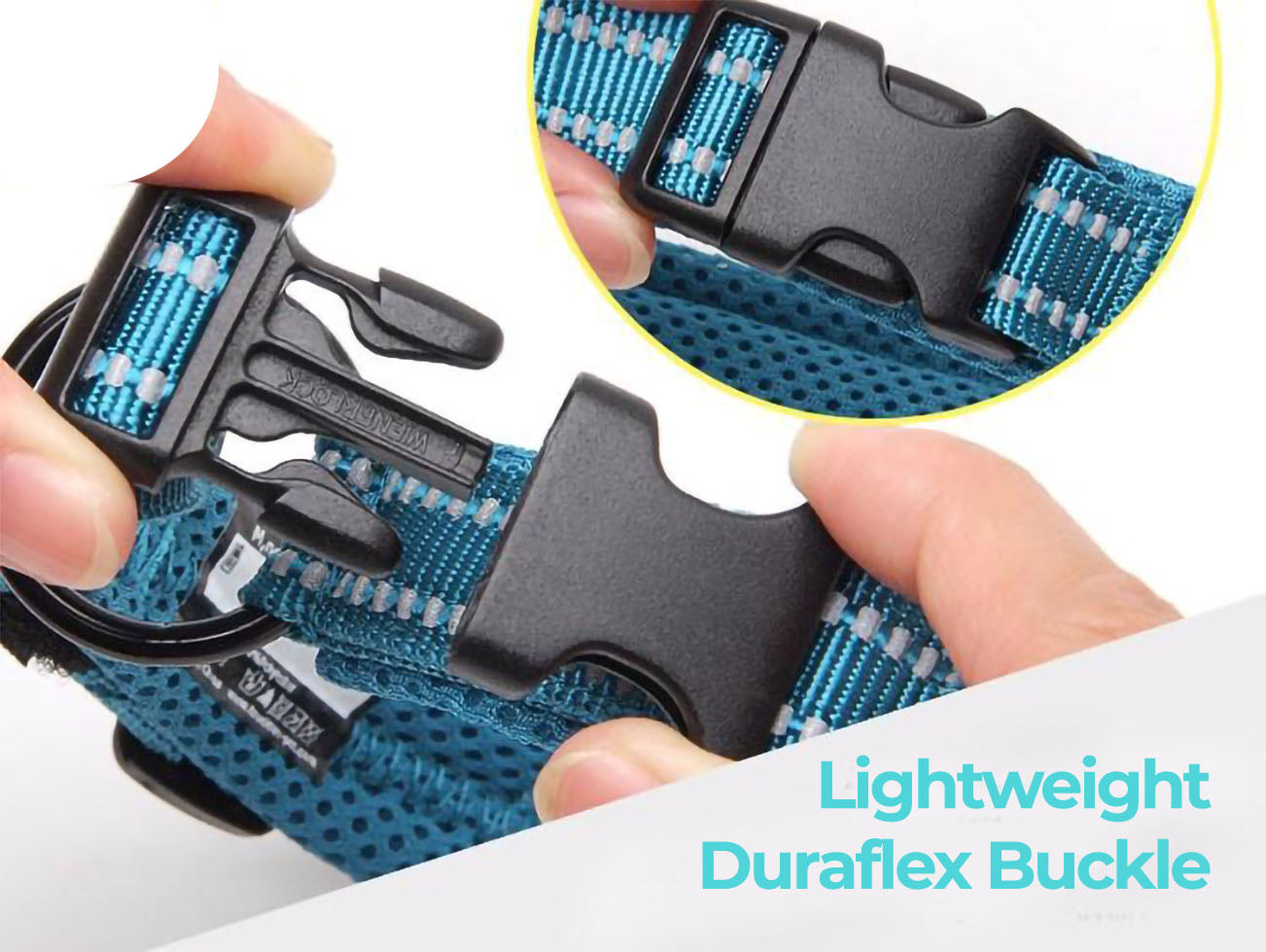 Close up of the buckle for a blue Truelove Anti-Choke™ - Padded Dog Collar closed and open on a white background.