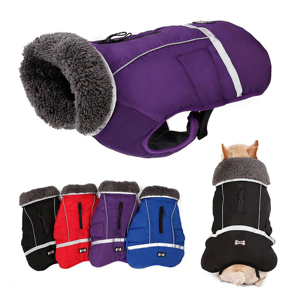 Purple DogSki Max Winter Coat with Leash/Harness Port, underneath buckles and fur collar in profile on white background. Black, Red, purple and Blue DogSki Max Winter Coat with Leash/Harness Port fur collar top view and a small dog wearing a black winter coat on white background.