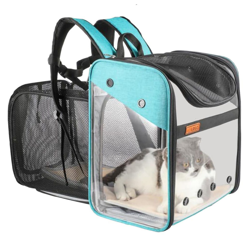 Grey and white cat sitting inside a teal LD Loft Pet Backpack Carrier Expandable Transparent Airline-Approved fully expanded with backpack handless showing on a white background.