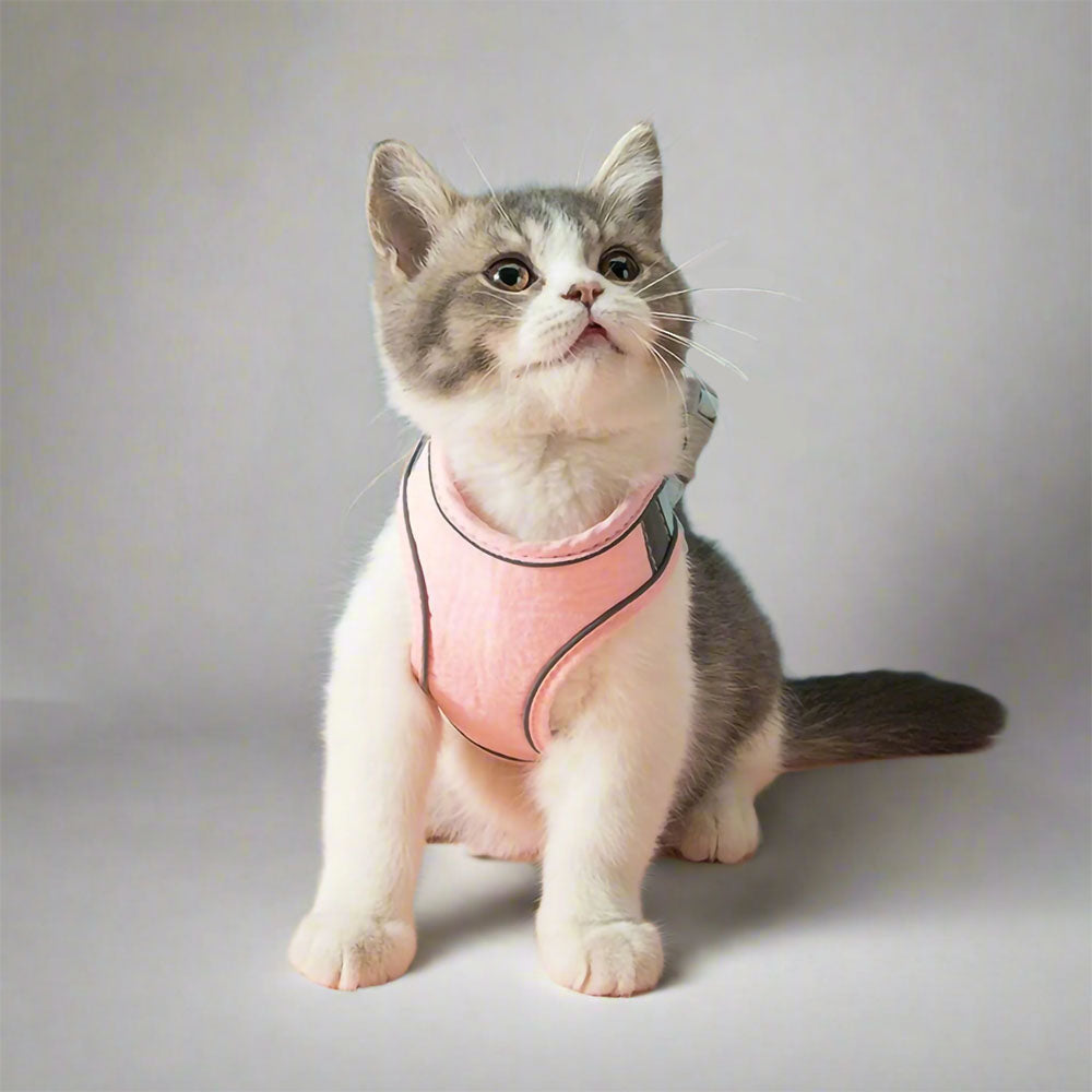 Cattitude Harness