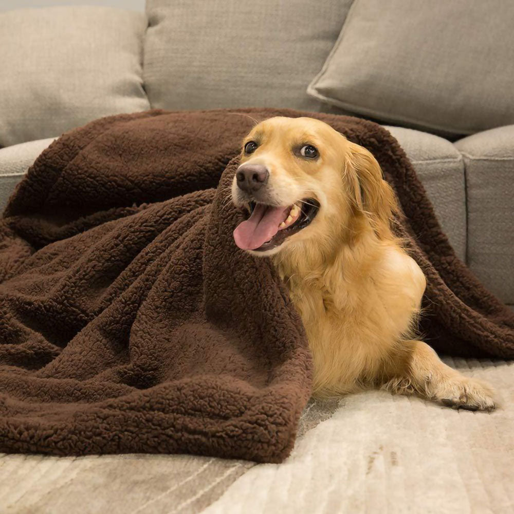 SoftyPaw Pet Blanket