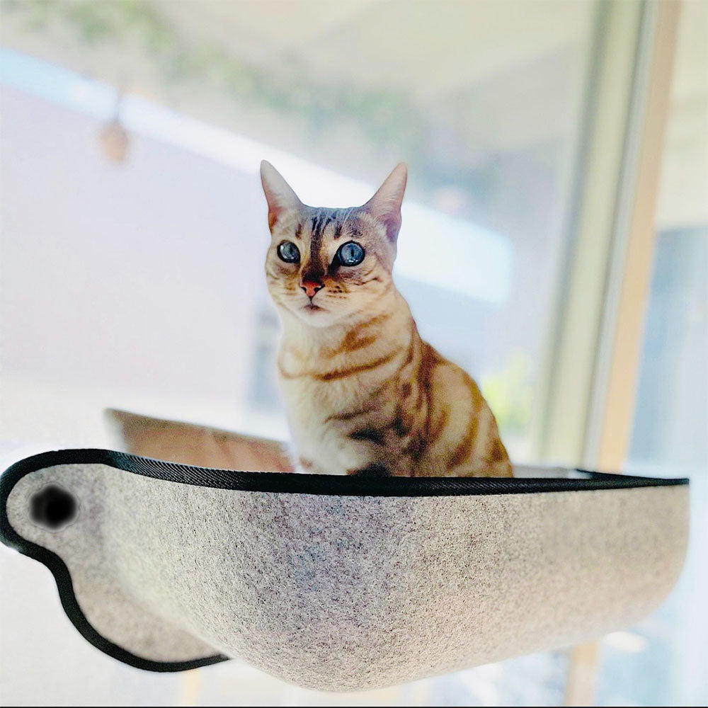 Perch - Cat Window Hammock