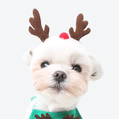 Small white dog wearing reindeer antlers and a green bib on a white background.