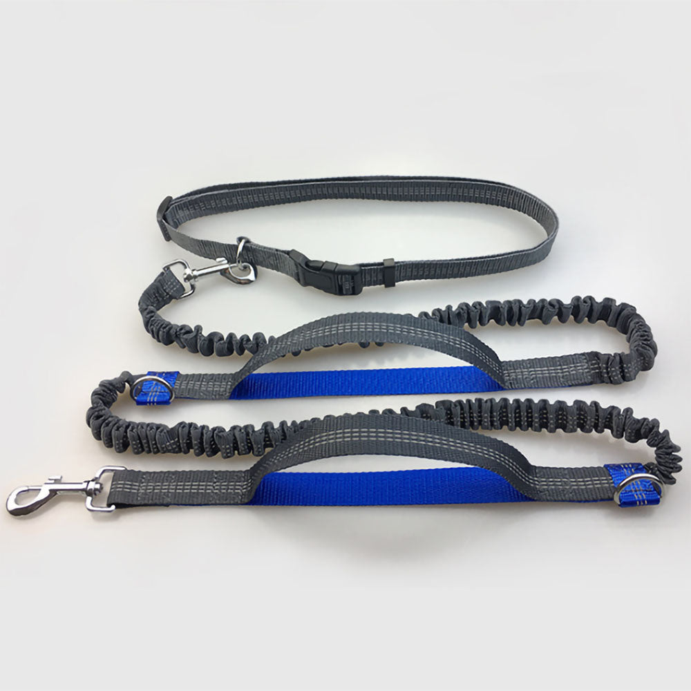 Blue Flex™ - Hands-Free Dog Leash double stretch and collar attached on a white background. 