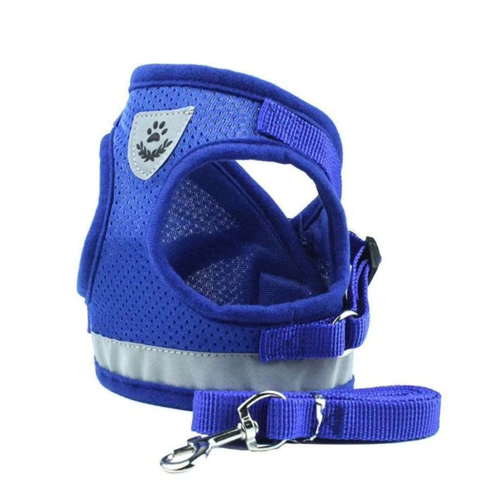 Blue TinyPaw™ - Small Pet Harness + Leash on a white background. 