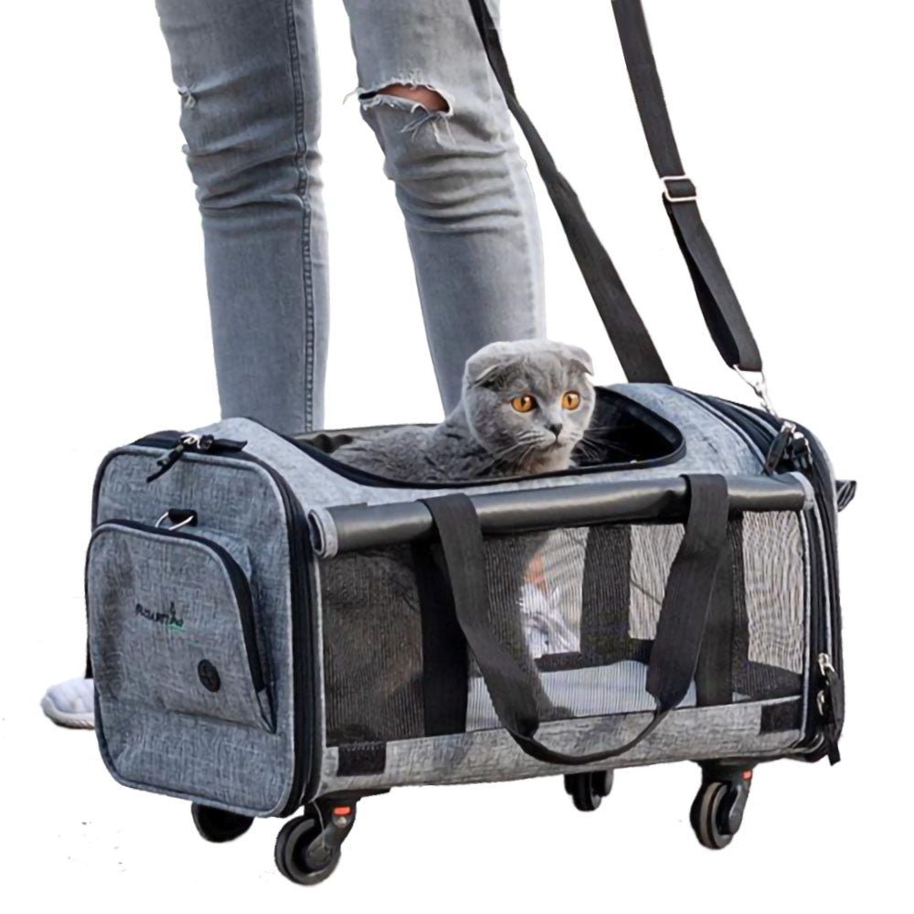 Grey cat peeking out of the airline-approved Chelsea Pet Travel Carrier Roller with its owner behind the carrier on a white background