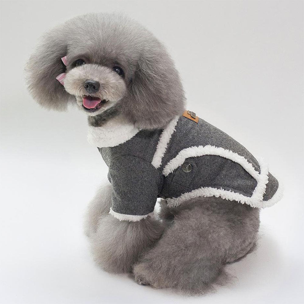 Small fluffy gray dog in a dark gray Dogbaby Snug - Dog Winter Jackets with faux fur trimmings on collar and as details around the vest on white background.