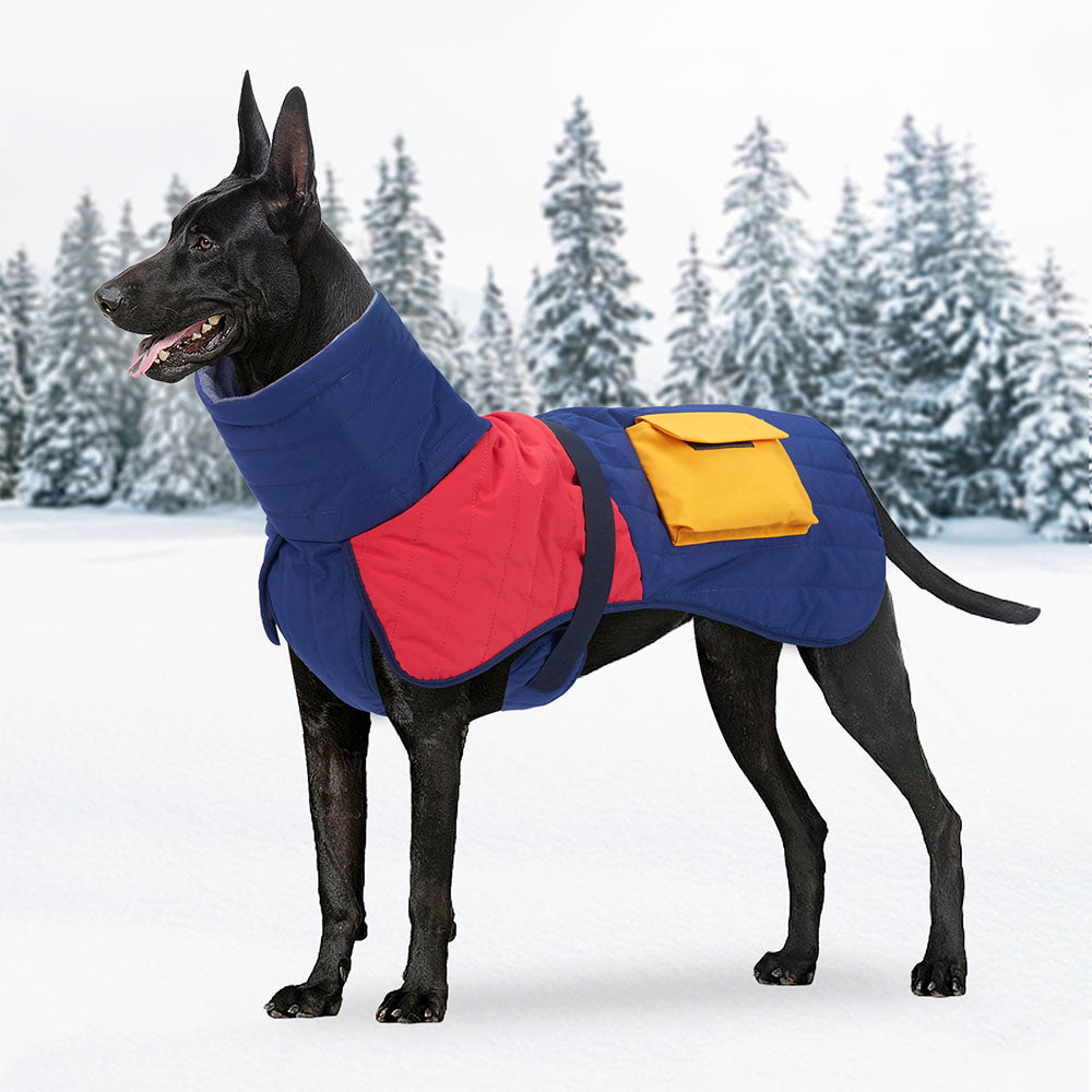 Dogski Delta - Large Dog Winter Jacket