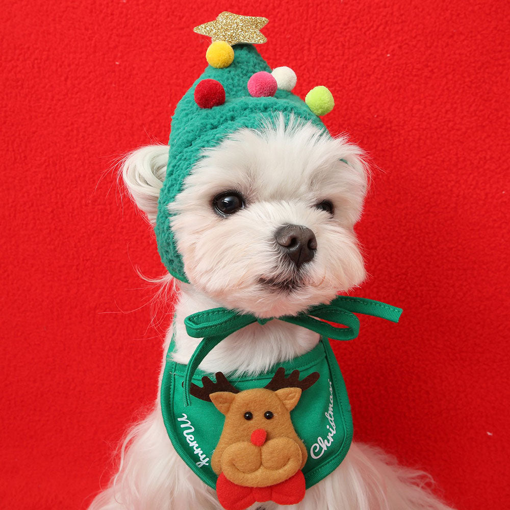 Small white dog wearing Christmas tree hat and the green bib on a red background.