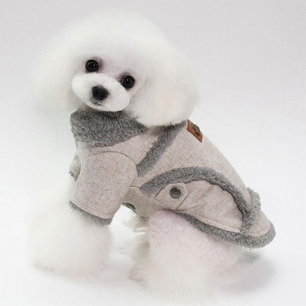 Small fluffy white dog in a light gray Dogbaby Snug - Dog Winter Jackets with faux fur trimmings on collar and as details around the vest on white background.