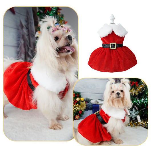 Christmas Pet Dress