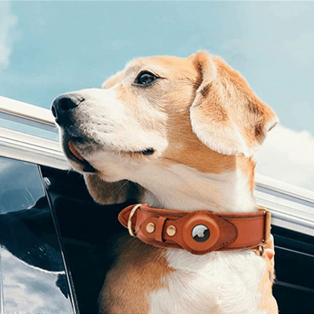 PawTrace - AirTag Dog Collar