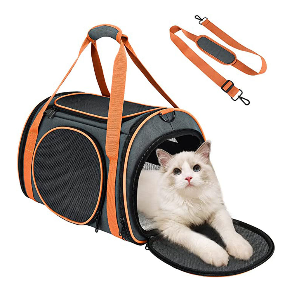 white cat in a charter pet airline-approved soft travel carrier 5 mesh windows and 4 zip up entrances and an orange lead on white background
