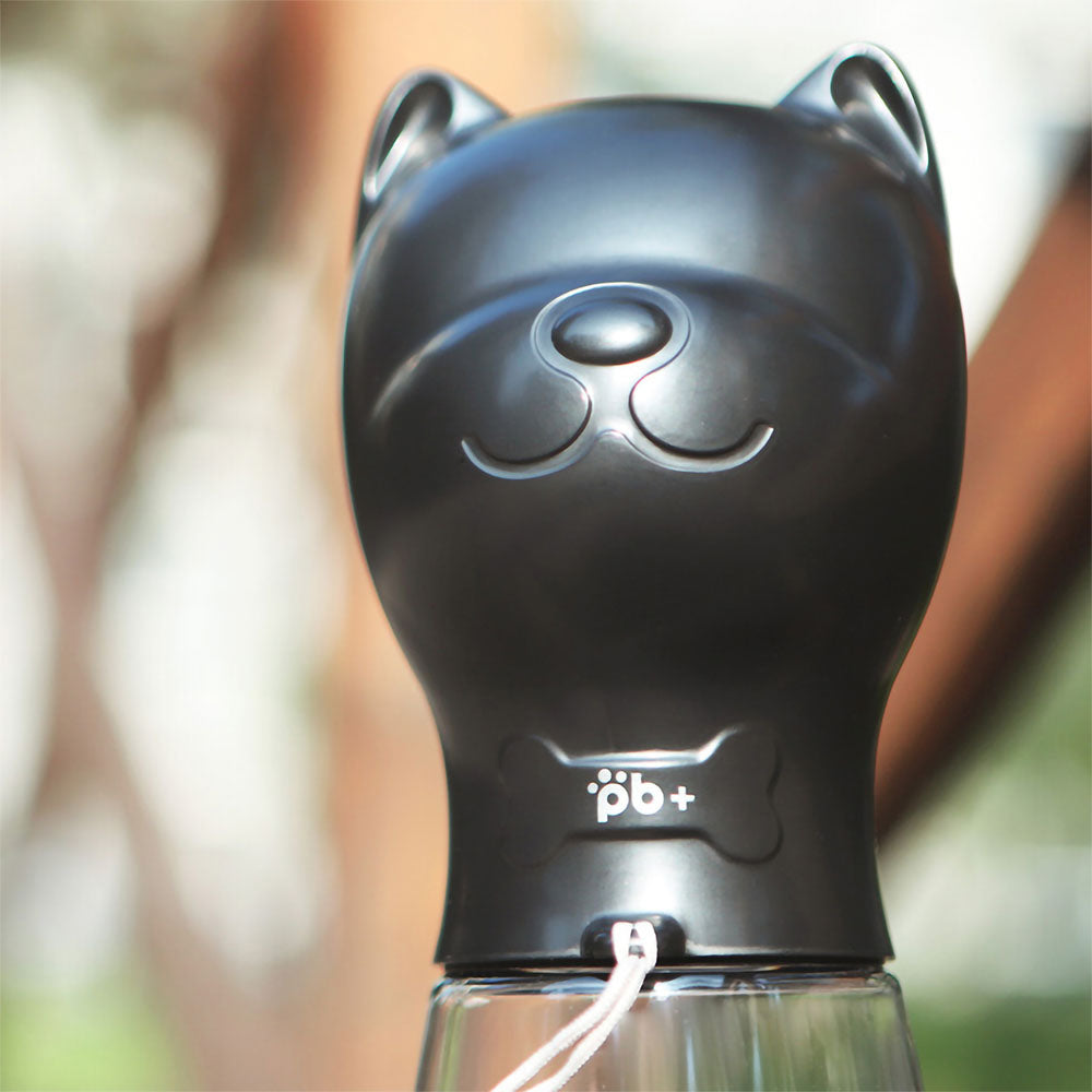 Close - up black pet water bottled designed for bulldogs on vivid background