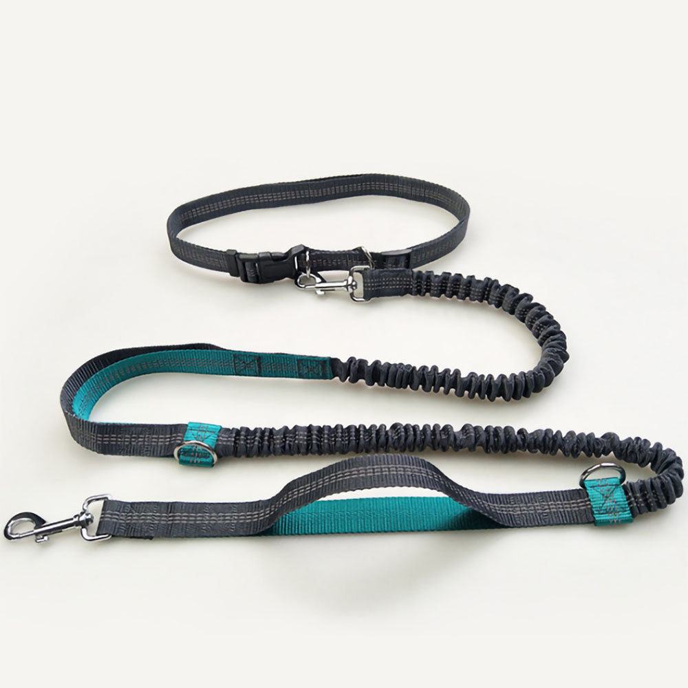 Teal Flex™ - Hands-Free Dog Leash double stretch and collar attached on a white background. 
