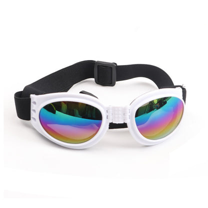 DePaw Pet Goggles