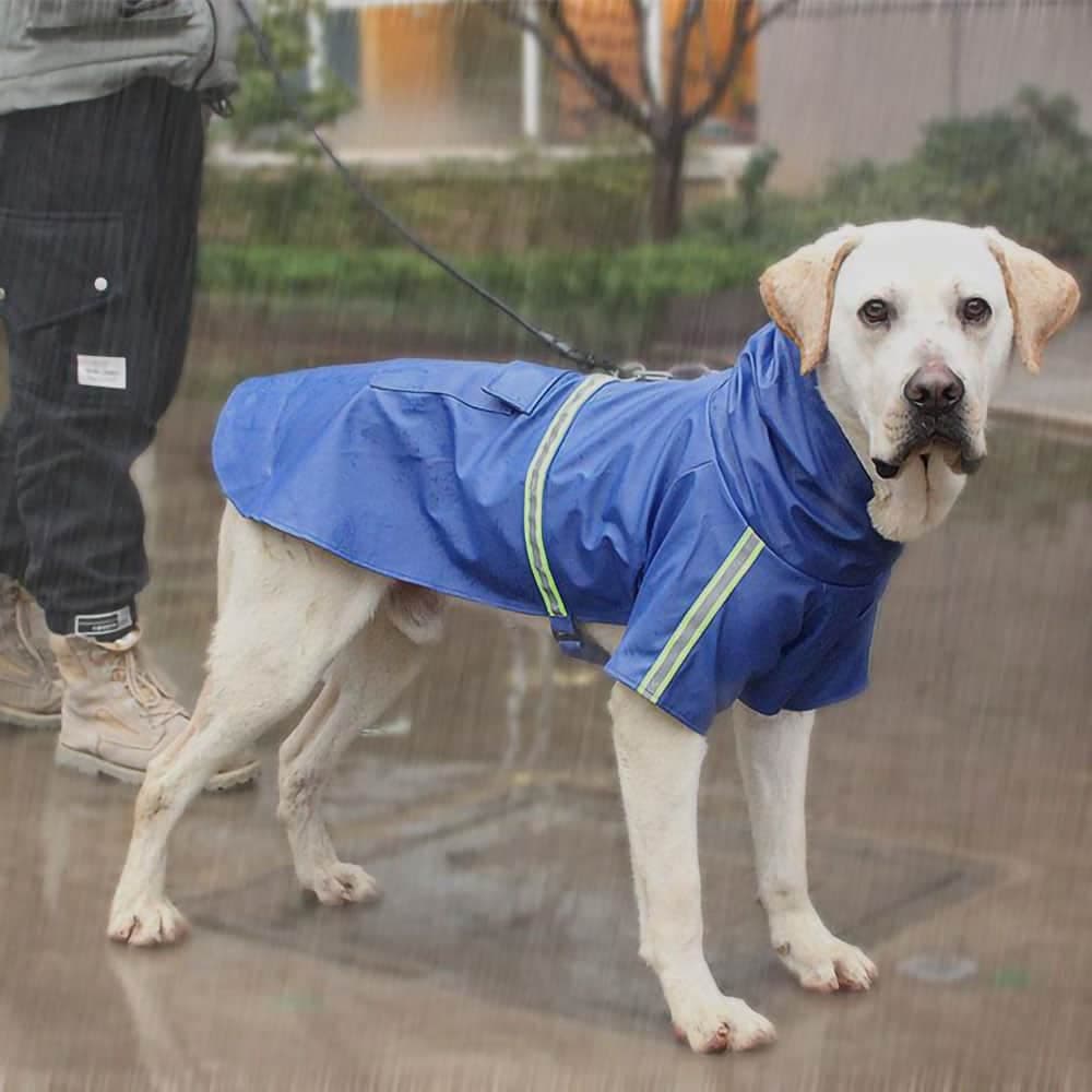 Large white dog in a blue Rainaway™ - Dog Raincoat With Leash/Harness Port and hood on a rainy background.