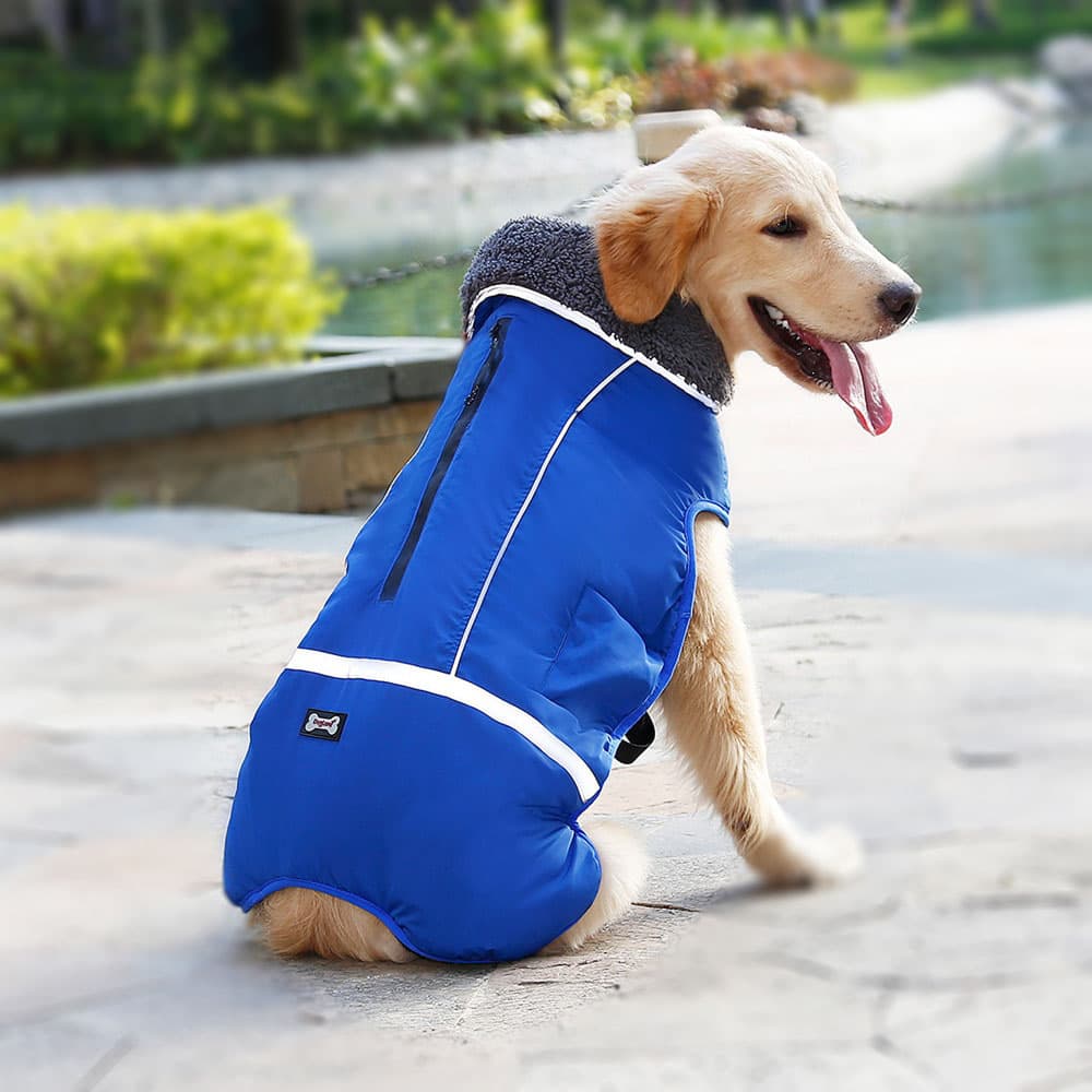 Dog wearing blue DogSki Max Winter Coat with Leash/Harness Port, underneath buckles and fur collar with waterproof zipper sitting by the river