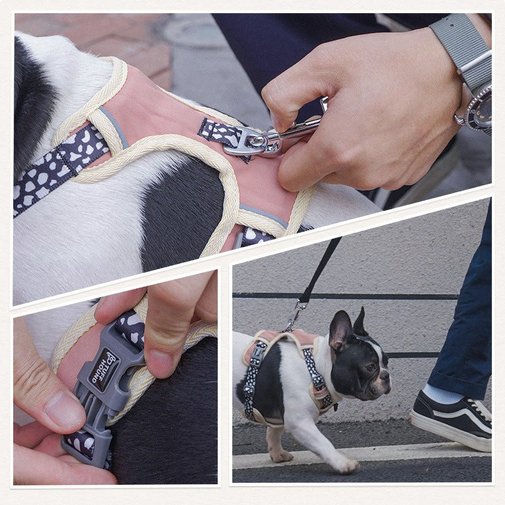 Close-ups of pink TuffHound Vital™ - Dog Harness &amp; Leash Set on D-ring with leash being attached on a dog, side adjustable buckle and a black and white dog walking on a leach of a pink TuffHound Vital™ - Dog Harness &amp; Leash Set on vivid backgrounds. 