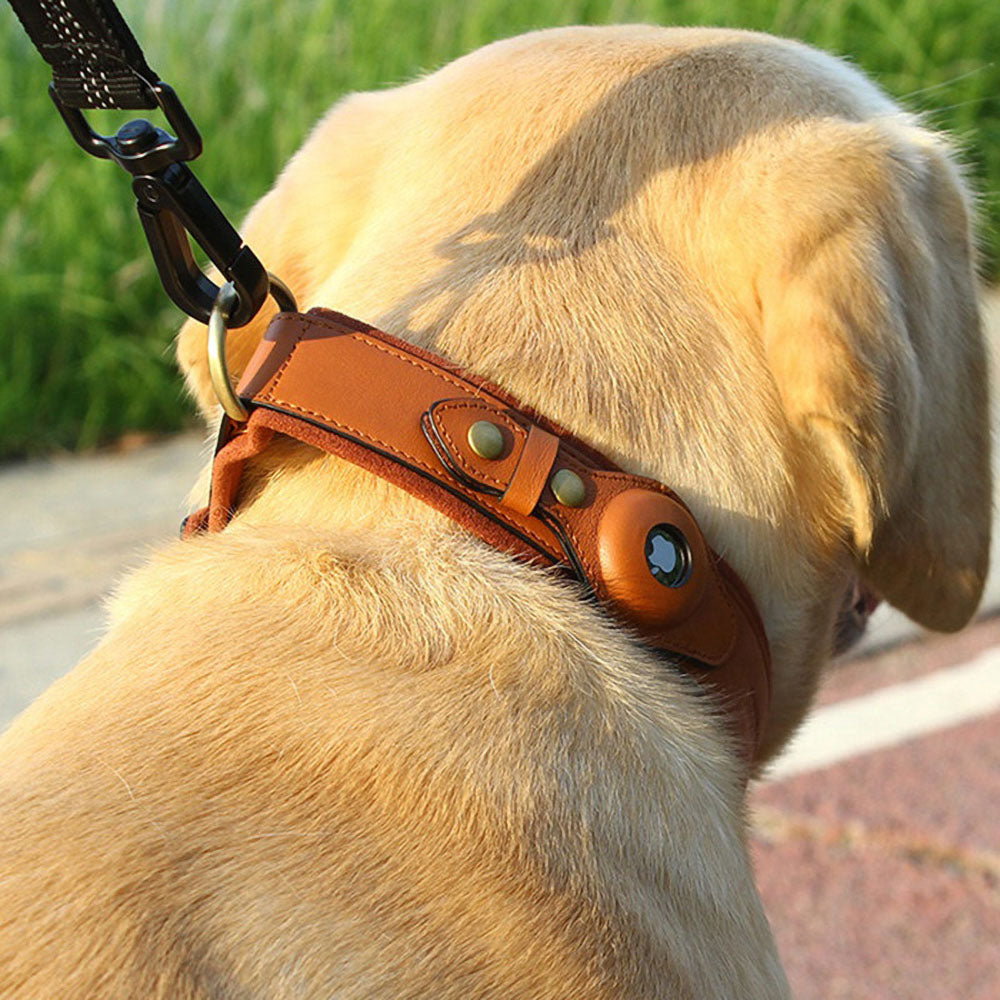 PawTrace - AirTag Dog Collar