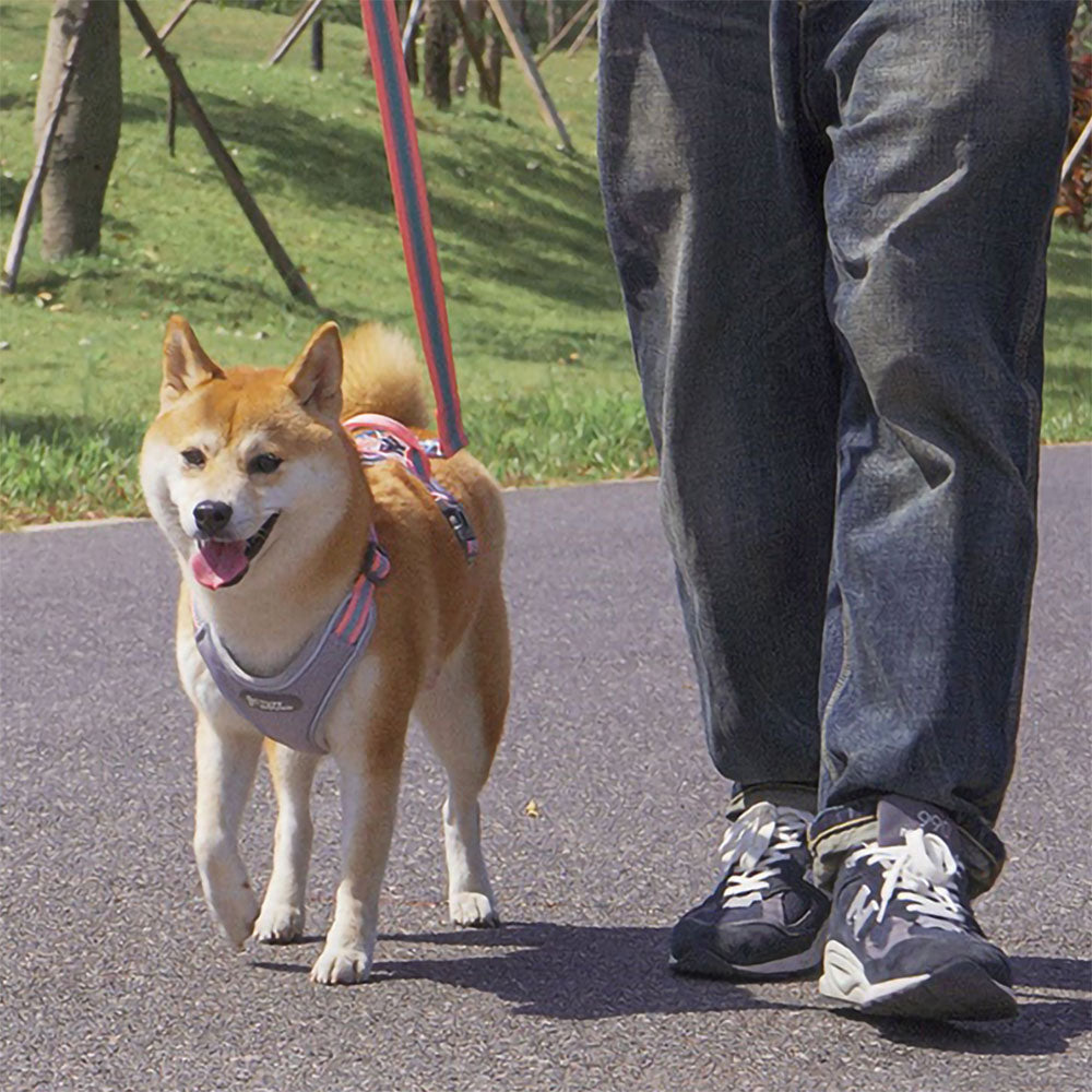 TuffHound Prime - Dog Harness