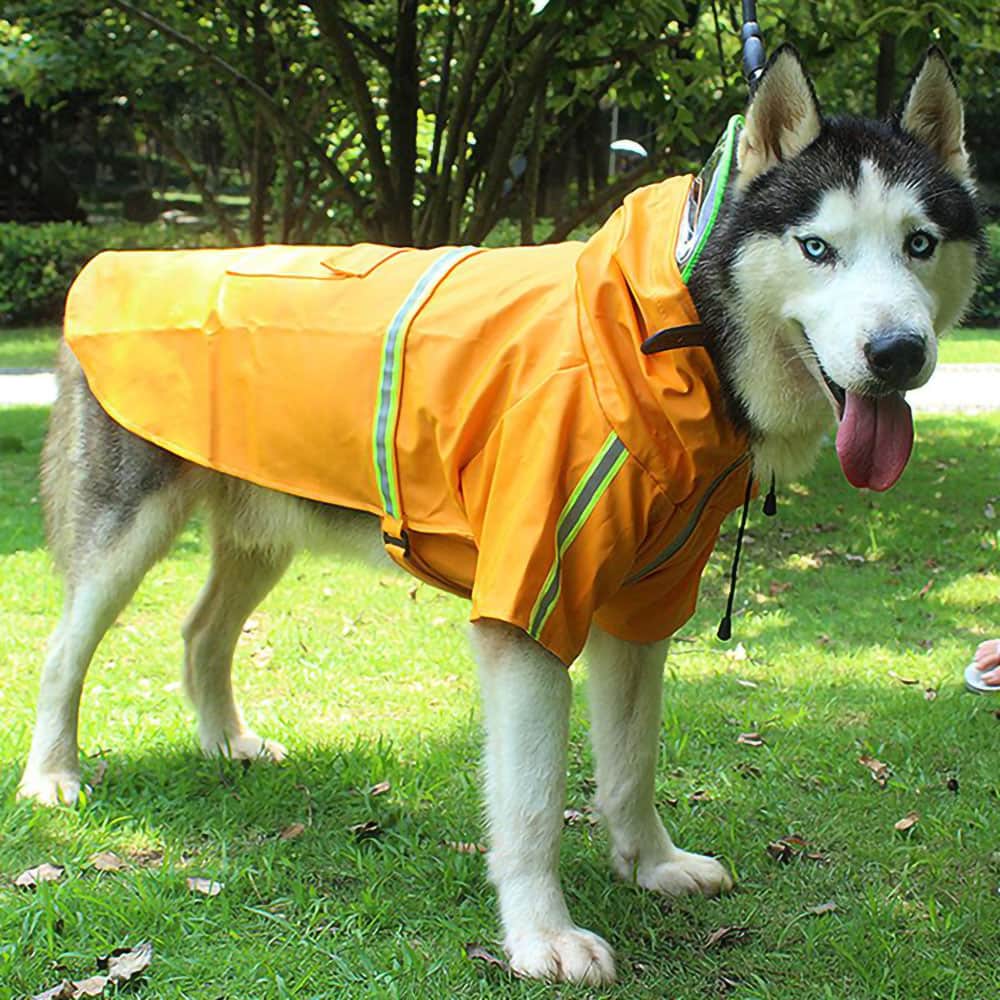 Large husky in an orange Rainaway™ - Dog Raincoat With Leash/Harness Port and hood on a vivid background.