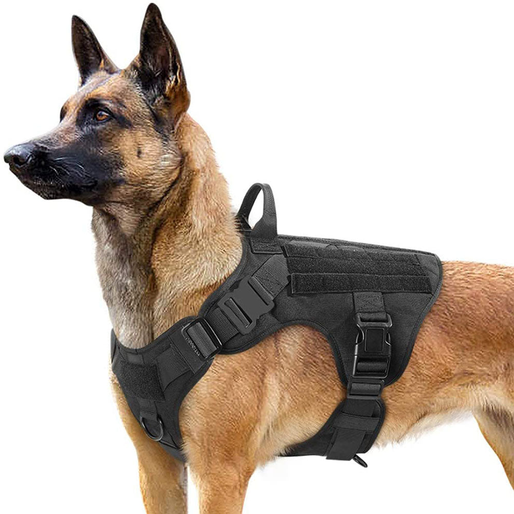 Tactipaw™ Harness
