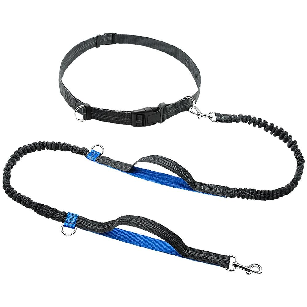 Blue Flex™ - Hands-Free Dog Leash double stretch and collar attached on a white background. 