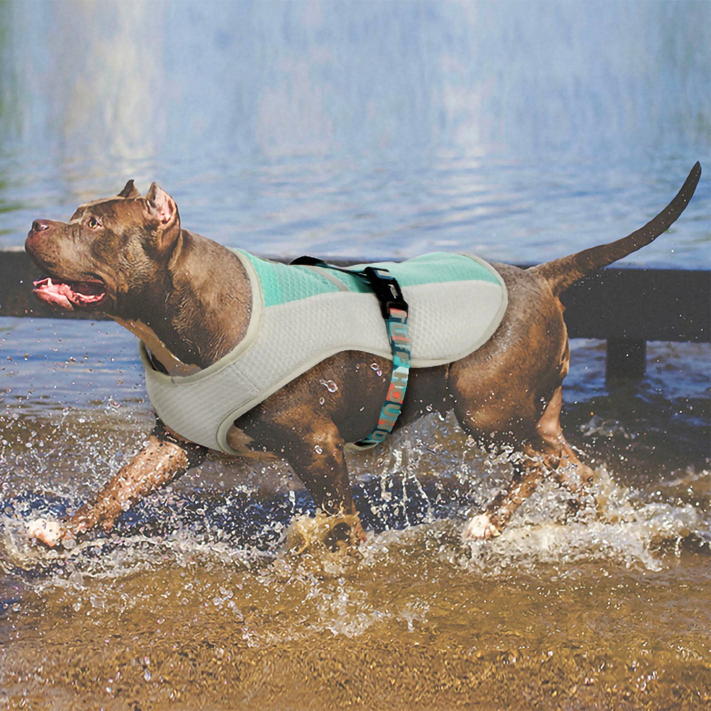 Large brown dog walking in the water wearing a mint green TuffHound™ - Dog Cooling Vest on a vivid background. 