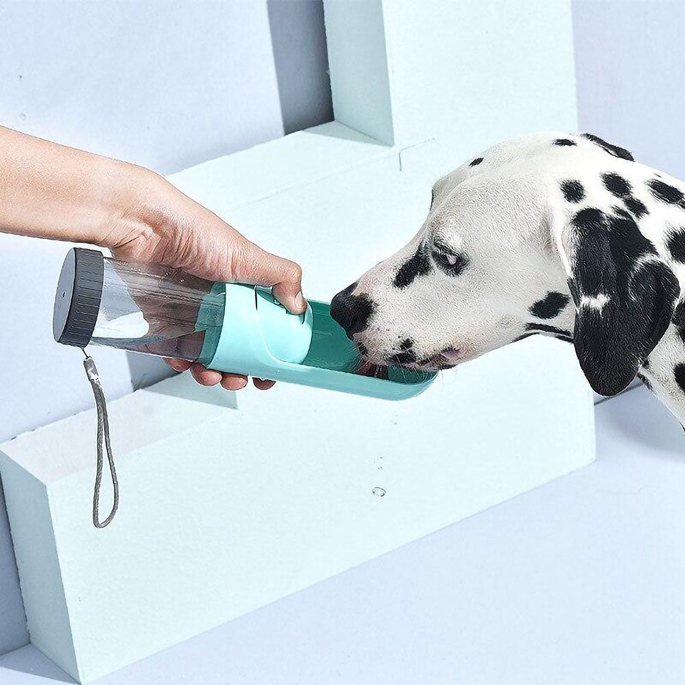 Dalmatian dog drinking water from its owner&#39;s hand that holds green portable, leak-proof pet water bottle with activated carbon (charcoal) filter