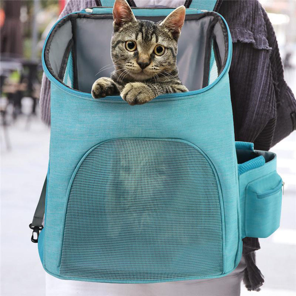 Gray tabby cat peaking out of the top opening of a blue Foldy™ - Pet Backpack Carrier on a vivid background.
