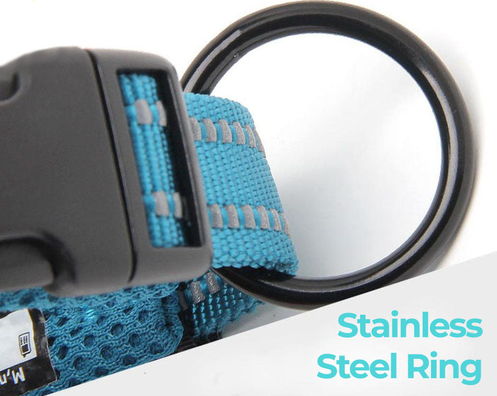 Close up of the steel ring for a blue Truelove Anti-Choke™ - Padded Dog Collar on a white background. 
